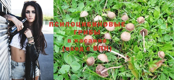 мяу мяу мука Арсеньев